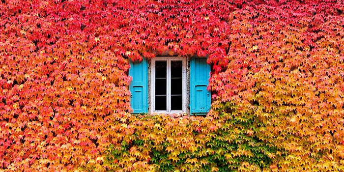 autumn-photography-2-fb__700